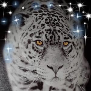 Meet your Posher, Humberto